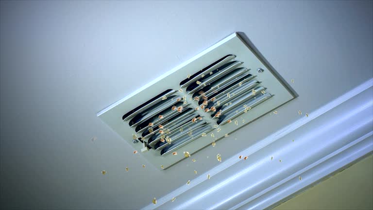 Affordable HVAC Duct Cleaning in South Lake Tahoe, CA
